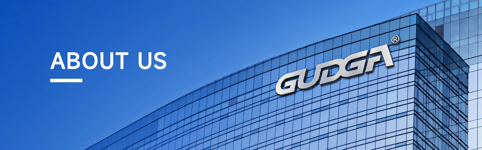 Guri buruz