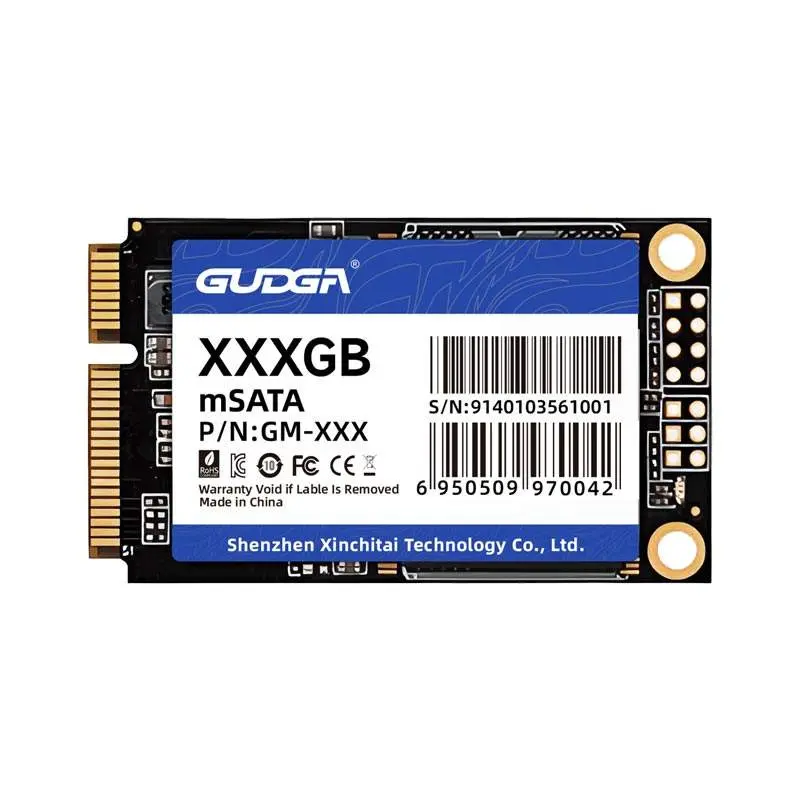 Ordenagailu eramangarria mSATA SSD