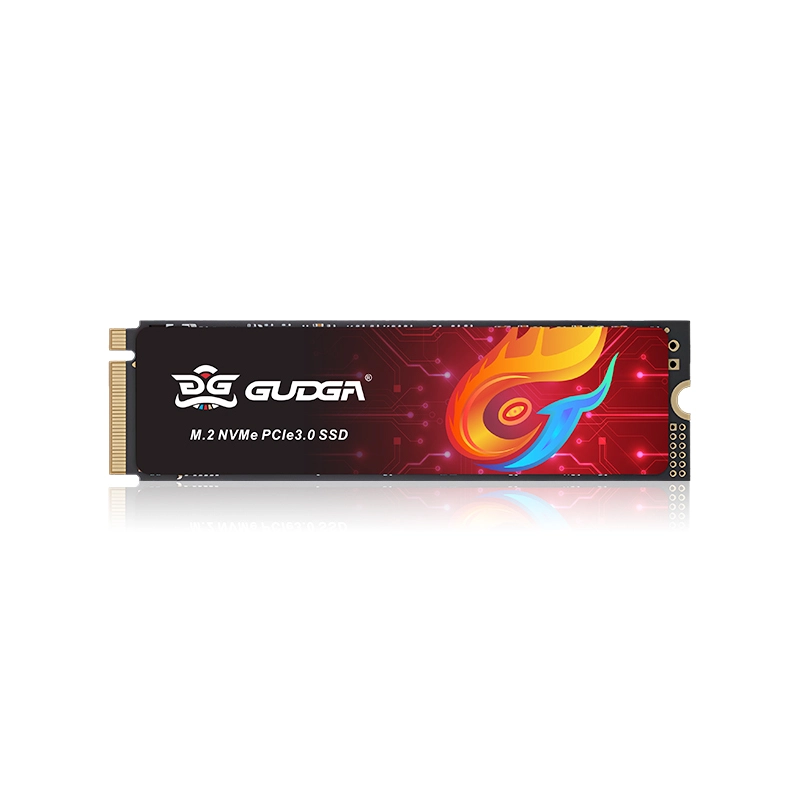 PCIE Gen3.0 NVMe M.2 SSD M gakoa